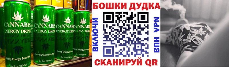 как найти закладки  Новодвинск  omg ссылка  Canna-Cookies конопля 