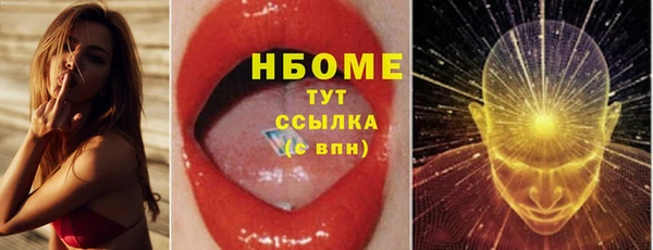индика Арсеньев