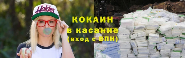 индика Арсеньев