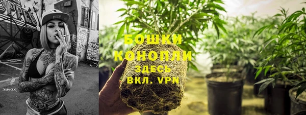 индика Арсеньев