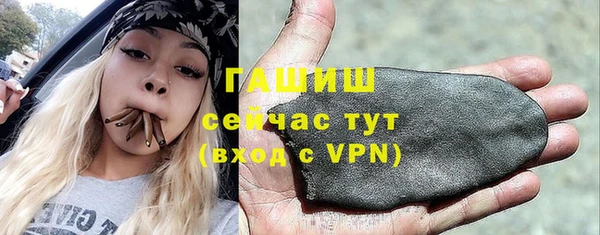 индика Арсеньев