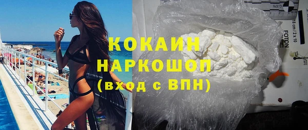 индика Арсеньев