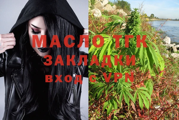 индика Арсеньев