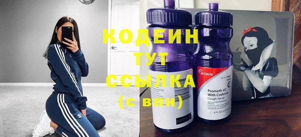 индика Арсеньев