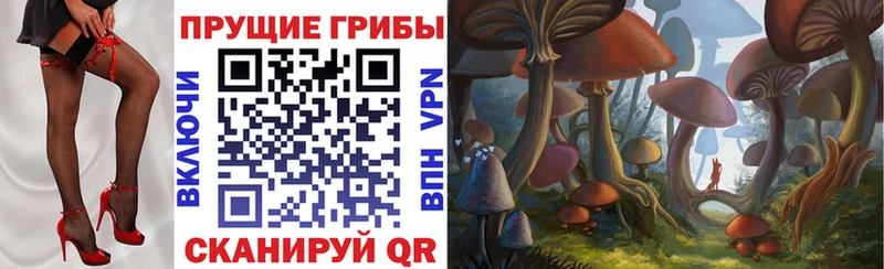Псилоцибиновые грибы Magic Shrooms  Новодвинск 