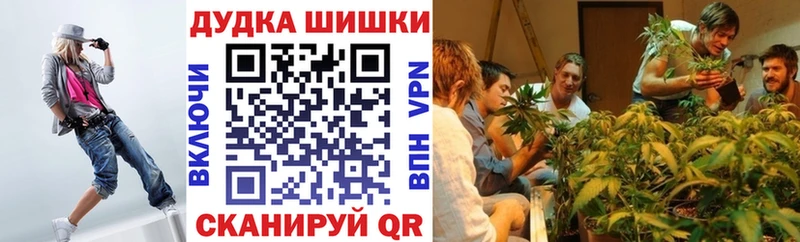 Конопля Ganja  mega ONION  Новодвинск 